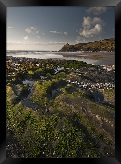 Seaweed, Abereiddy Framed Print by Creative Photography Wales