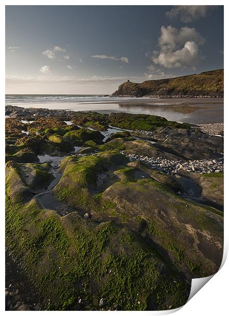 Seaweed, Abereiddy Print by Creative Photography Wales