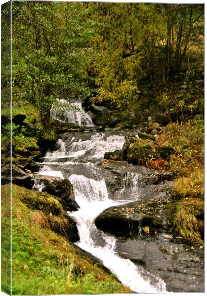 Waterfall Flamsdalen Valley Flam Norway Scandinavia Canvas Print by Andy Evans Photos