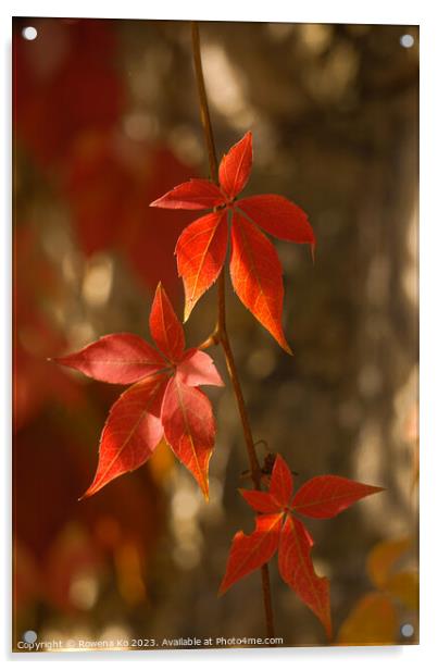 Red leaves in autumn bath  Acrylic by Rowena Ko