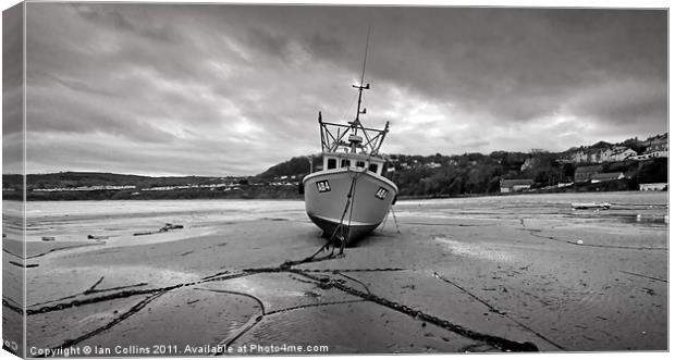 Tide's Out Canvas Print by Ian Collins