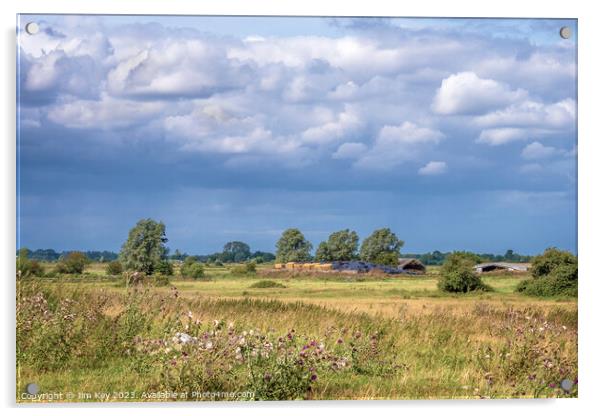 Farming on the Norfolk Broads   Acrylic by Jim Key