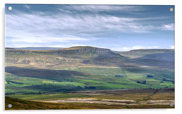  Penyghent a Yorkshire Dales Icon Acrylic by Paul Grubb