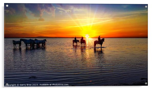 Camargue Horses at Sunrise Acrylic by Garry Bree