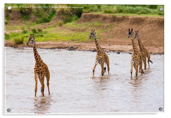 Tower of Giraffes crossing the Mara River Acrylic by Howard Kennedy