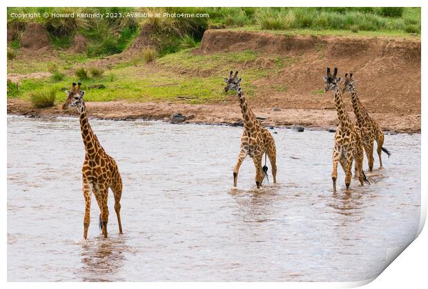 Tower of Giraffes crossing the Mara River Print by Howard Kennedy
