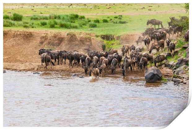 Wildebeest crossing the Mara River Print by Howard Kennedy