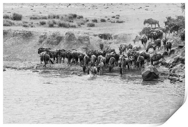 Wildebeest crossing the Mara River in black and white Print by Howard Kennedy