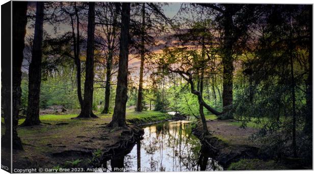 New Forest Sunset, UK Canvas Print by Garry Bree
