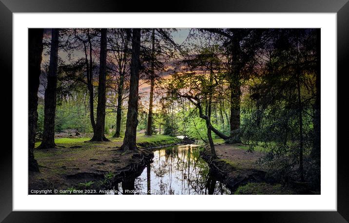 New Forest Sunset, UK Framed Mounted Print by Garry Bree