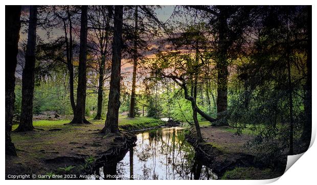 New Forest Sunset, UK Print by Garry Bree