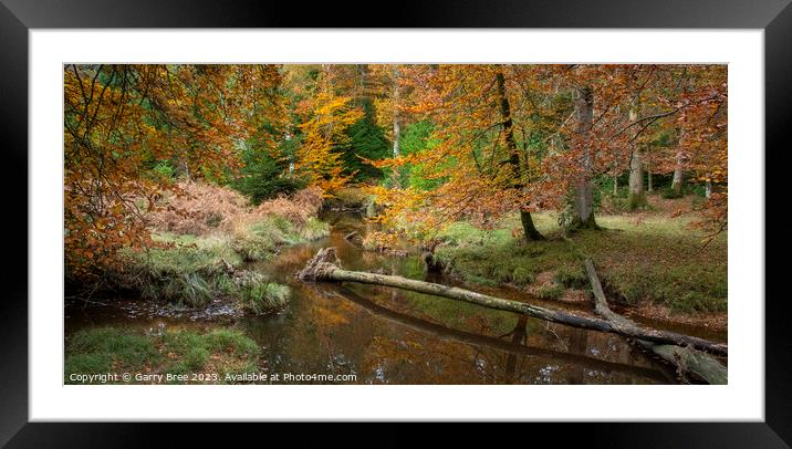 Autumnal New Forest Framed Mounted Print by Garry Bree