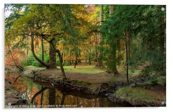 Autumnal New Forest Acrylic by Garry Bree