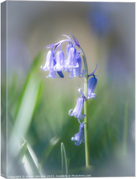 Plant flower Canvas Print by Simon Johnson