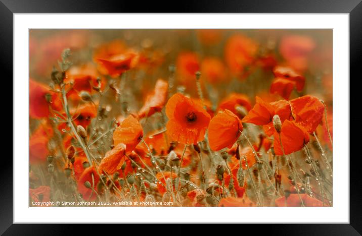 A close up of a flower Framed Mounted Print by Simon Johnson