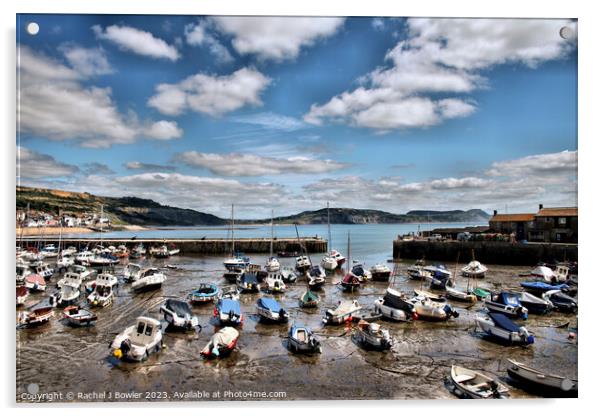 Harbour at Lyme Regis Acrylic by RJ Bowler