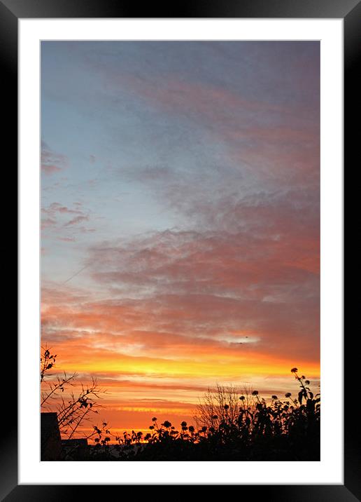 Sunrise and Silhouettes Framed Mounted Print by Ashley Ridpath