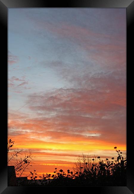 Sunrise and Silhouettes Framed Print by Ashley Ridpath
