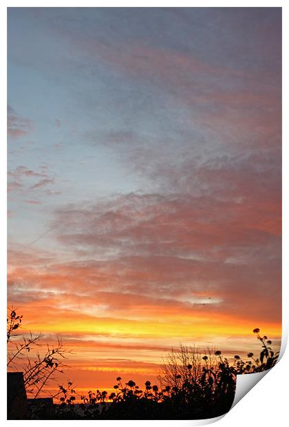Sunrise and Silhouettes Print by Ashley Ridpath