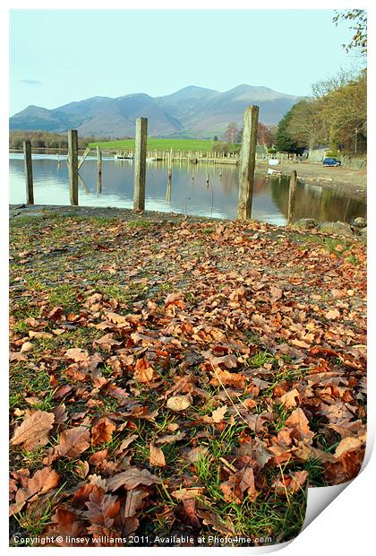 Skiddaw Print by Linsey Williams