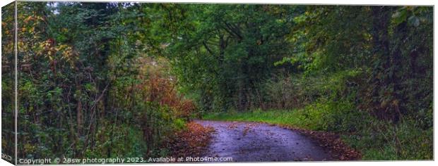 The road to Autumn - (Panorama.) Canvas Print by 28sw photography