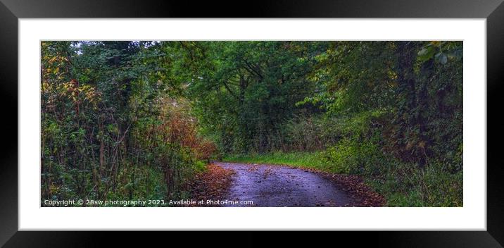 The road to Autumn - (Panorama.) Framed Mounted Print by 28sw photography