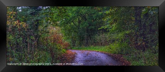 The road to Autumn - (Panorama.) Framed Print by 28sw photography