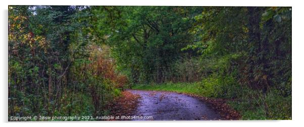 The road to Autumn - (Panorama.) Acrylic by 28sw photography