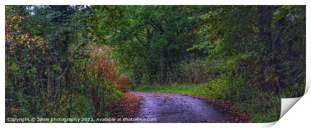 The road to Autumn - (Panorama.) Print by 28sw photography