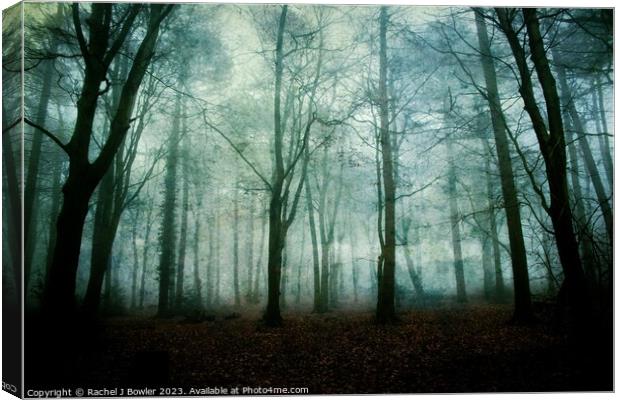 Dark and Misty Wood Canvas Print by RJ Bowler