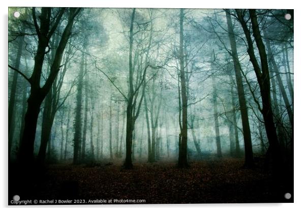 Dark and Misty Wood Acrylic by RJ Bowler
