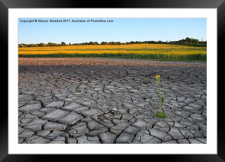 Drought? Framed Mounted Print by Steven Stoddart