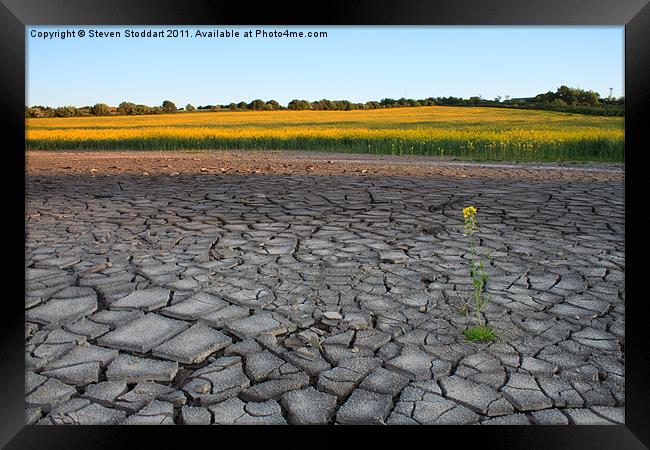 Drought? Framed Print by Steven Stoddart