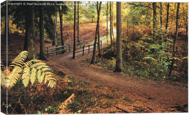 Alice Holt Forest Path in Autumn Canvas Print by Pearl Bucknall