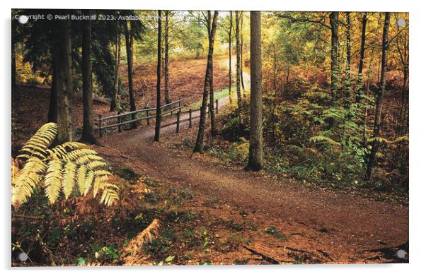Alice Holt Forest Path in Autumn Acrylic by Pearl Bucknall