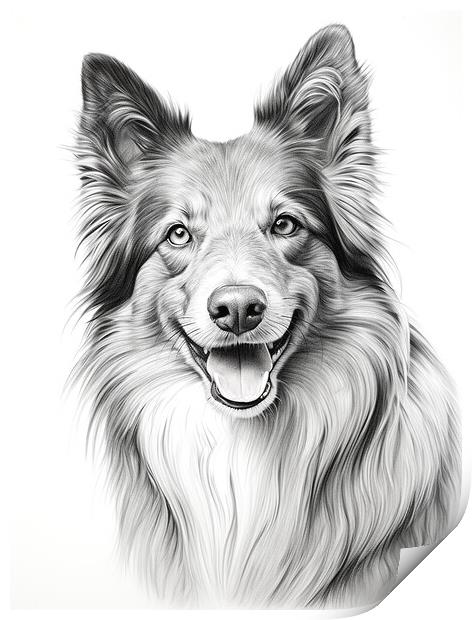 Belgian Sheepdog Pencil Drawing Print by K9 Art
