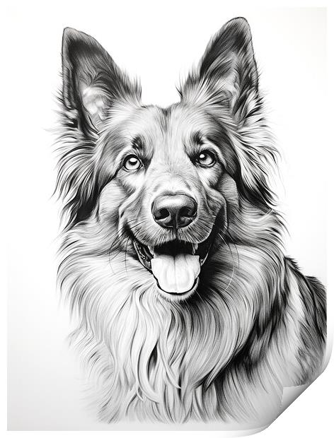 Belgian Sheepdog Pencil Drawing Print by K9 Art