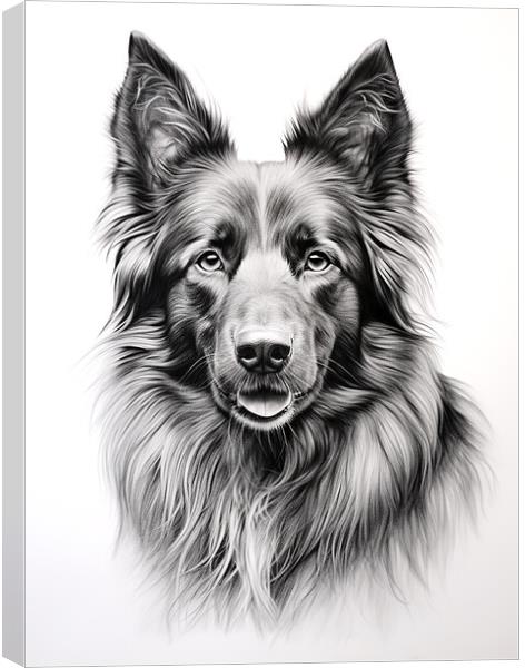 Belgian Sheepdog Pencil Drawing Canvas Print by K9 Art