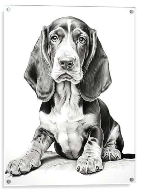 Basset Hound Pencil Drawing Acrylic by K9 Art
