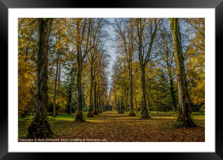 Autumn Forest Avenue Framed Mounted Print by Russ Summers