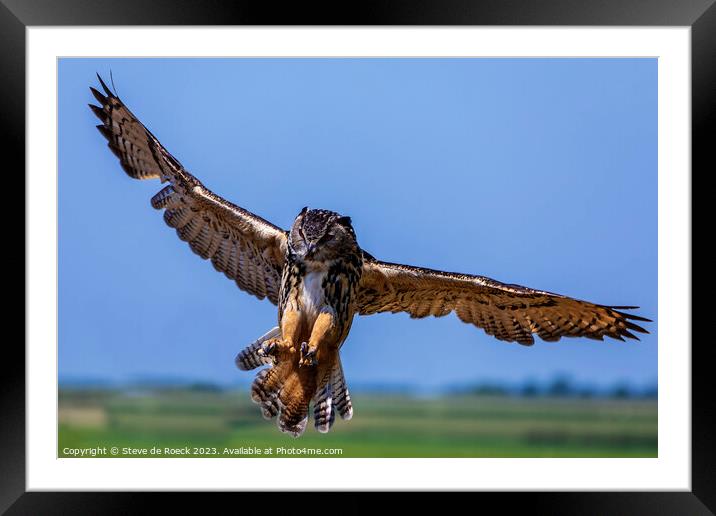 Eurasian Eagle Owl stoops on its prey Framed Mounted Print by Steve de Roeck