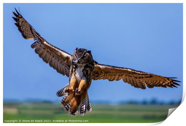 Eurasian Eagle Owl stoops on its prey Print by Steve de Roeck