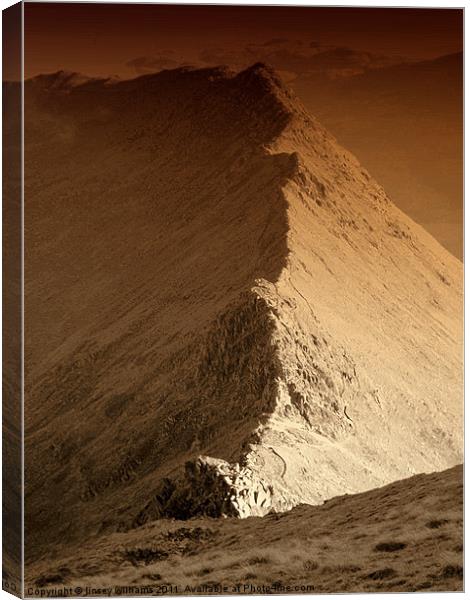 Striding edge Canvas Print by Linsey Williams