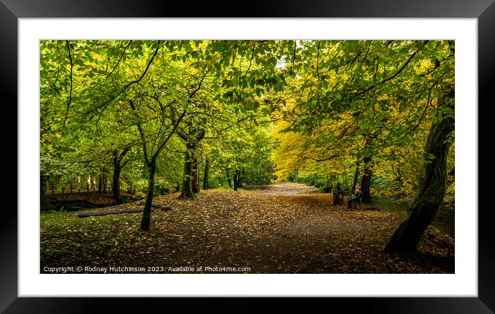 Autumn View Framed Mounted Print by Rodney Hutchinson