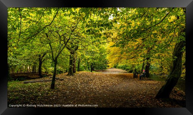 Autumn View Framed Print by Rodney Hutchinson