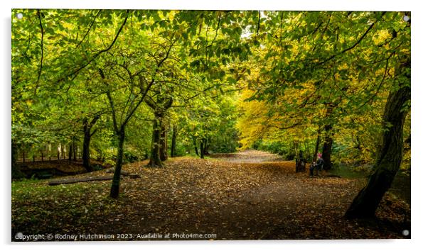 Autumn View Acrylic by Rodney Hutchinson
