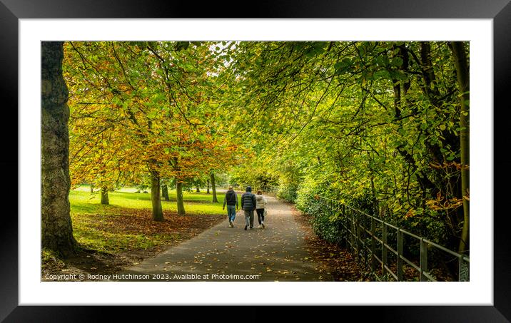 Autumn in the park Framed Mounted Print by Rodney Hutchinson