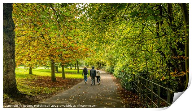 Autumn in the park Print by Rodney Hutchinson