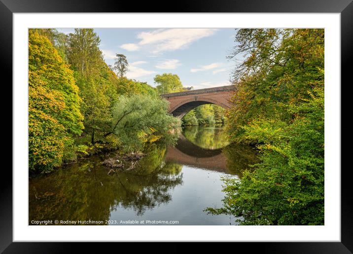 River Kelvin in autumn Framed Mounted Print by Rodney Hutchinson
