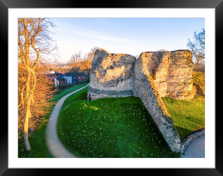 Pontefract Castle ~ Spring Daffodils  Framed Mounted Print by Tim Hill
